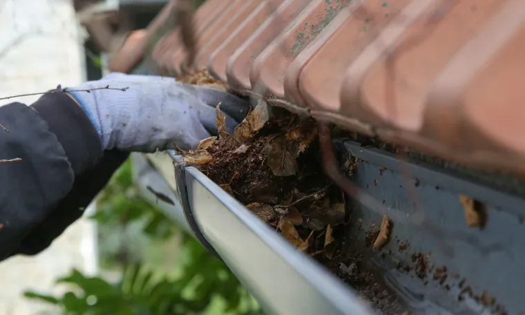 Gutter Cleaning in Georgetown, TX