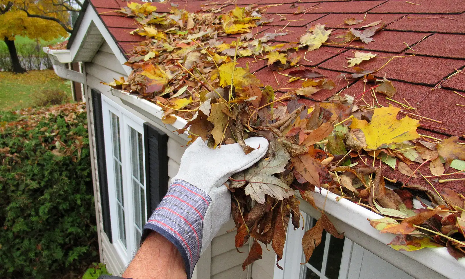 Drainage Solutions in Prosper, TX